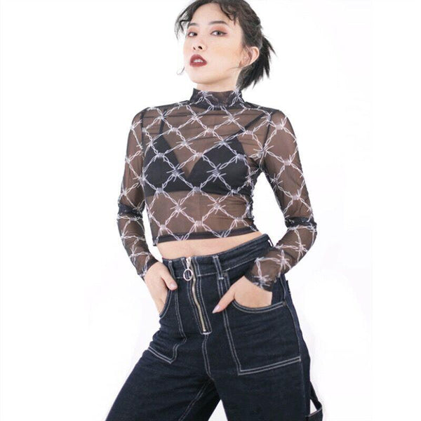 Mesh Long Sleeve Top